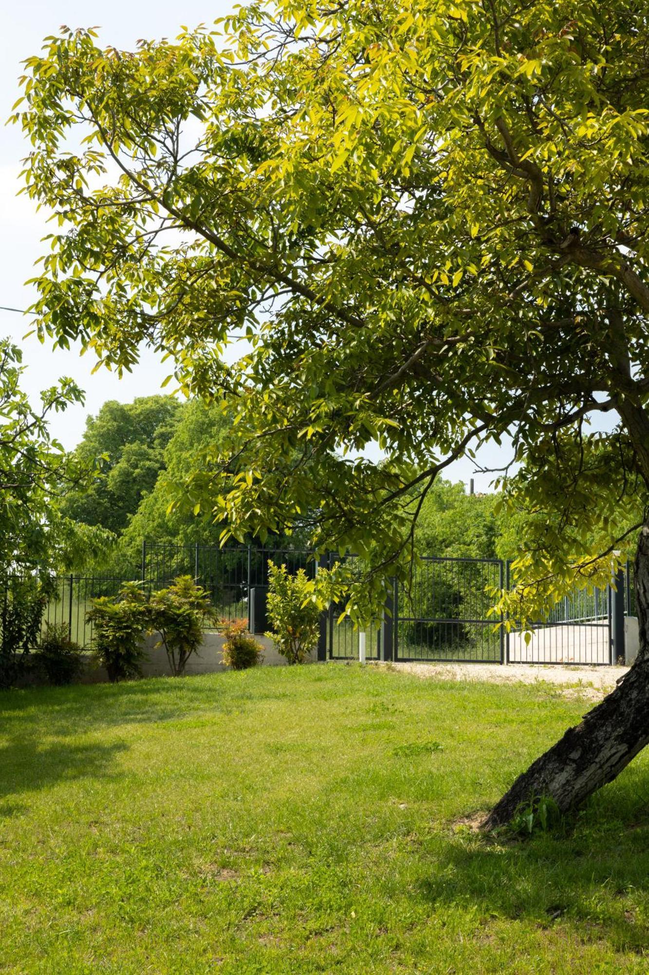 Bed And Breakfast Le Giale Castelnuovo del Garda Buitenkant foto